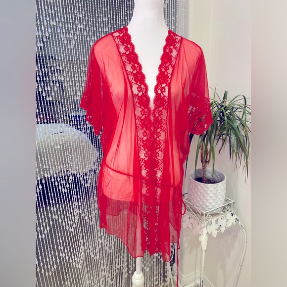 VINTAGE SHEER PEIGNOIR - Picture 6 of 6